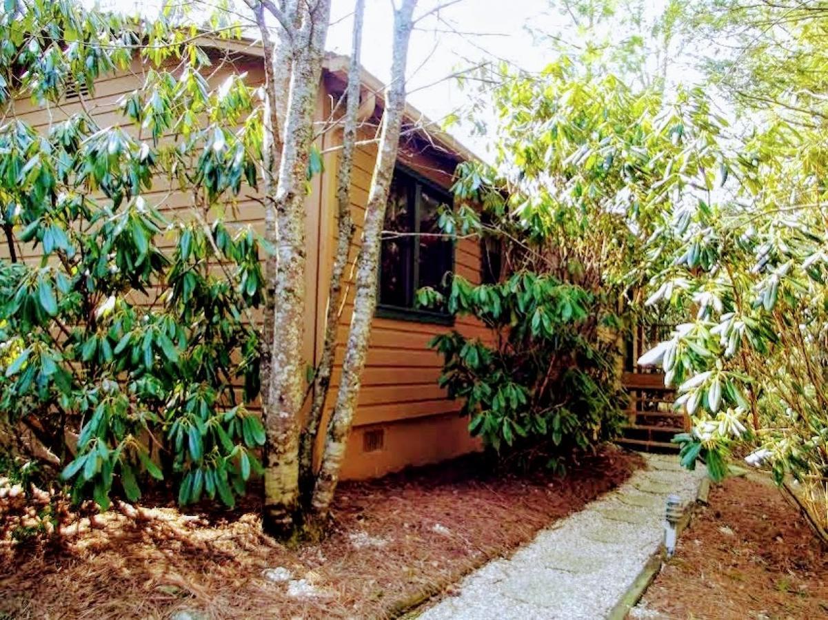 Hotel Mitchell's And Cottages 2*